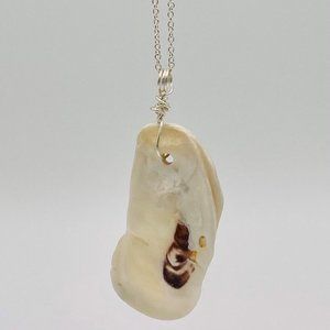 Shell Pendant on 24" Silver Chain Necklace; S24-10